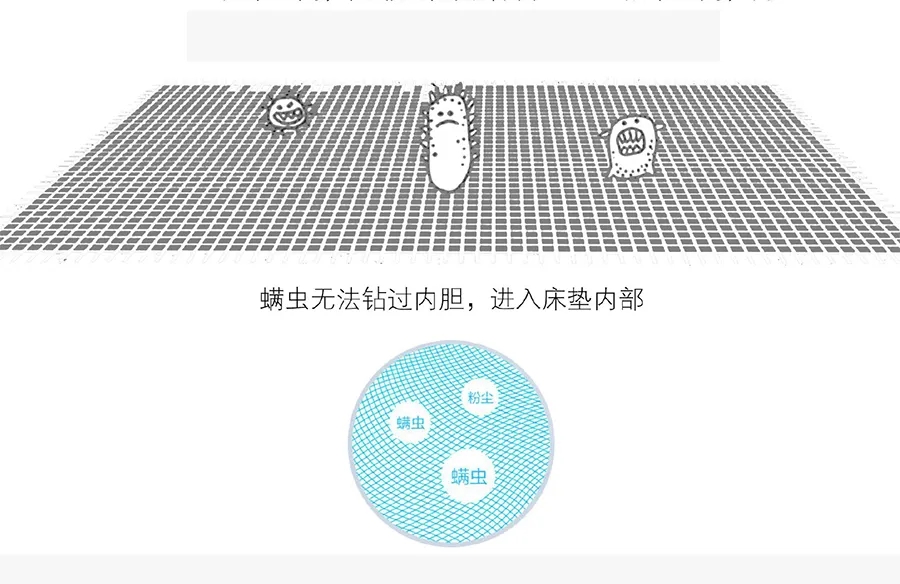 null 造梦者3重0螨守护6.jpg